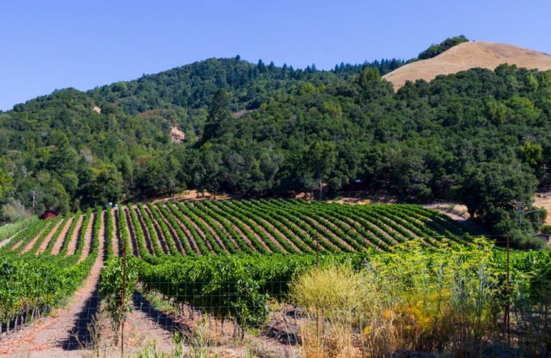 Architect Service in Santa Rosa, CA