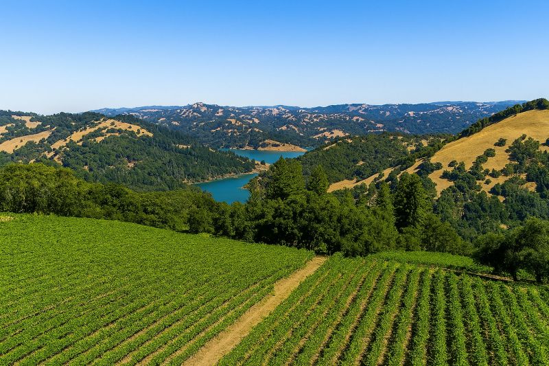 Architect Service in Sonoma County, CA